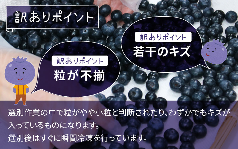【訳あり】令和7年産〈冷凍〉手摘み有機ブルーベリー500g（500g × 1パック）