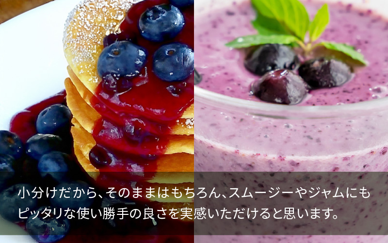 【訳あり】令和7年産〈冷凍〉手摘み有機ブルーベリー500g（500g × 1パック）