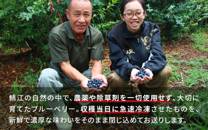 【訳あり】令和7年産〈冷凍〉手摘み有機ブルーベリー500g（500g × 1パック）