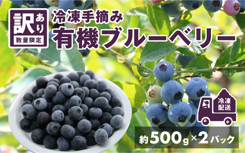 【訳あり】令和7年産〈冷凍〉手摘み有機ブルーベリー1kg(500g × 2パック)