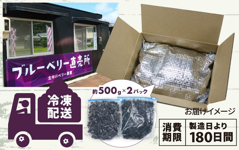 【訳あり】令和7年産〈冷凍〉手摘み有機ブルーベリー1kg（500g × 2パック）