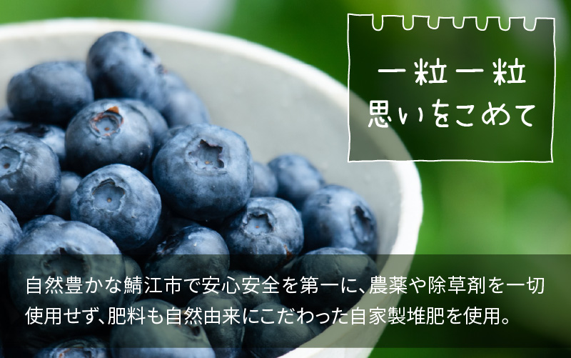 【訳あり】令和7年産〈冷凍〉手摘み有機ブルーベリー1.5kg（500g×3パック）