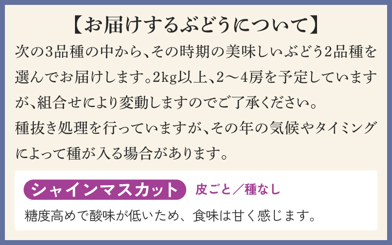 【数量限定先行予約】【9月以降順次発送】農家厳選！採れたてぶどうの詰合せ（品種おまかせ）2kg以上（2～4房程度）