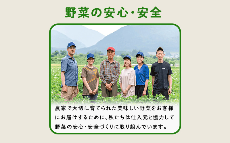 【2025年12月配送】多数のメディアで紹介されました！【訳あり】旬のもったいないお野菜詰め合わせセット