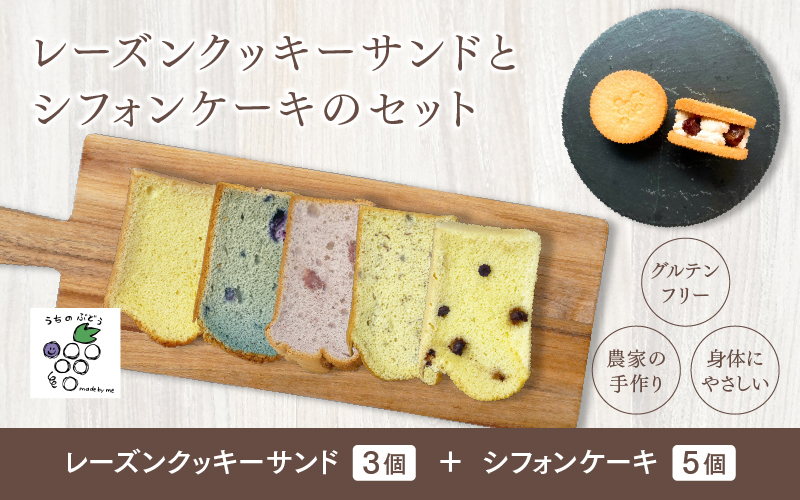 レーズンクッキーサンドとシフォンケーキのセット | 鯖江市