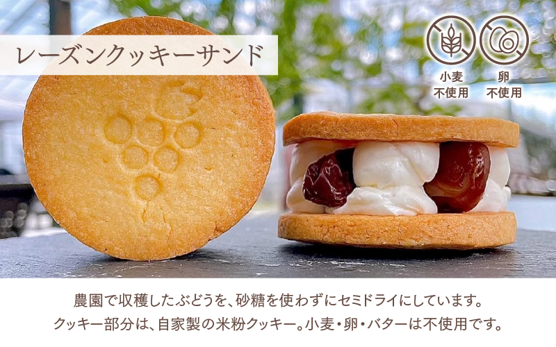 レーズンクッキーサンドとシフォンケーキのセット