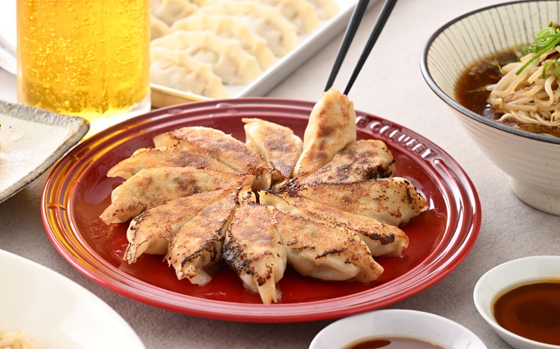 鹿児島県黒豚かしら肉使用 御園餃子 冷凍　手作りセット (餡500g、皮25枚)×2個