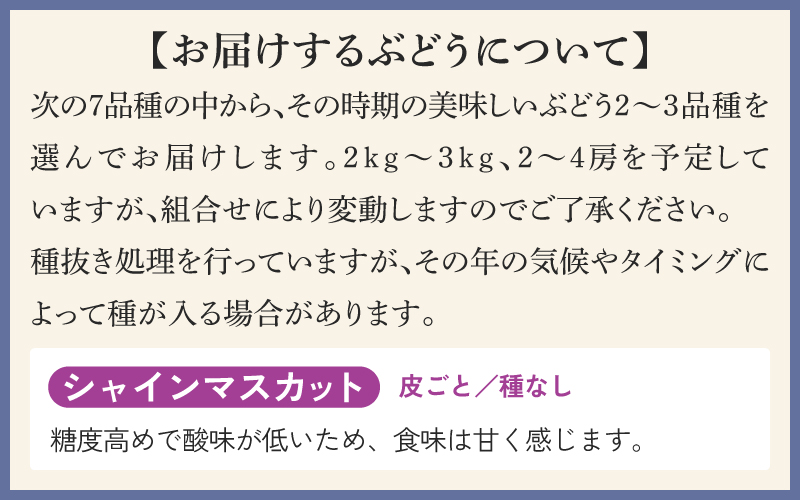 【2025年10月以降順次発送予定】農家厳選！採れたてぶどうの詰合せ（品種おまかせ）