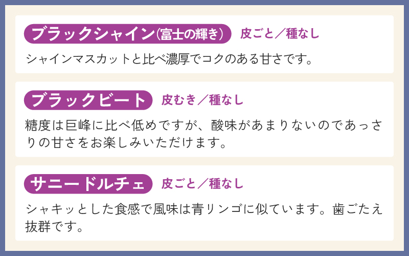 【2025年10月以降順次発送予定】農家厳選！採れたてぶどうの詰合せ（品種おまかせ）