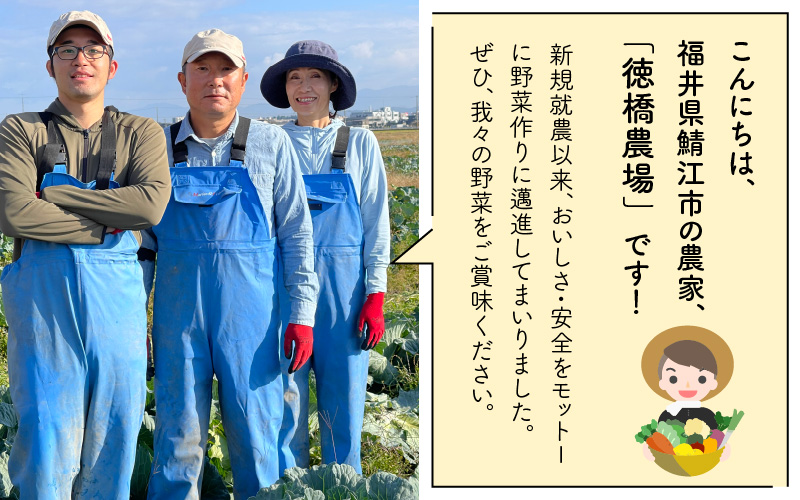 おろしそばに最適! 福井県産 辛味大根 2kg