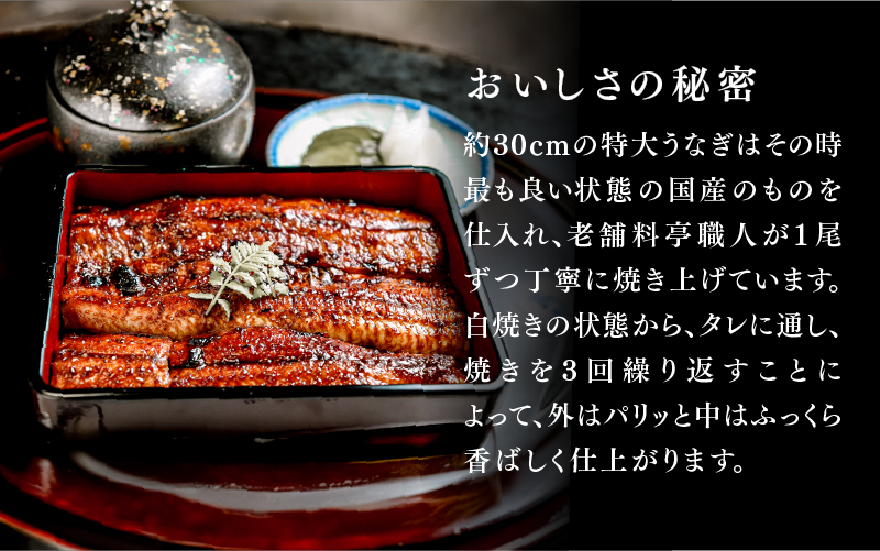 うなぎの蒲焼【特大サイズ１尾】