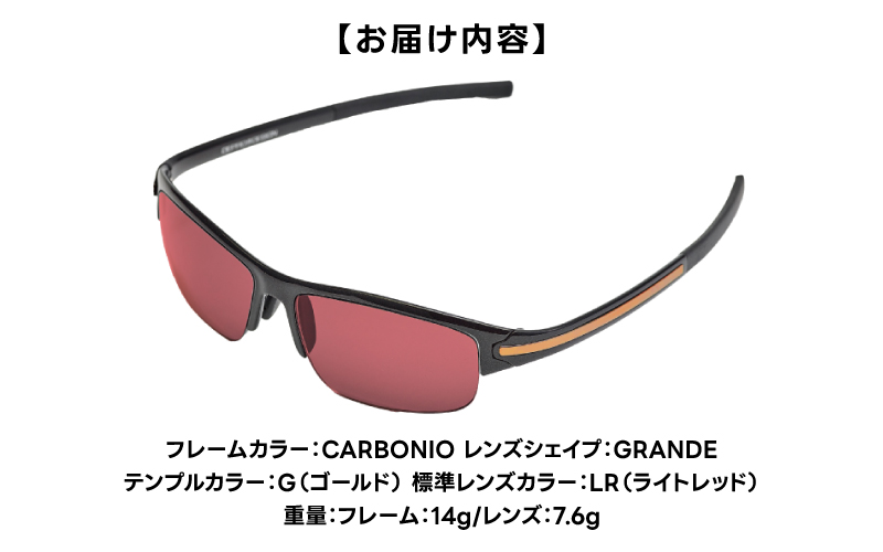 超軽量を実現したアクティブサングラス　DDG/001 標準（CA-GR-G-LR）