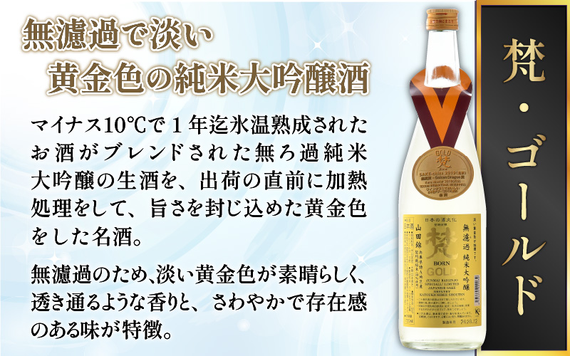 【鯖江の銘酒を贅沢に飲み比べ】【先行予約】【限定60セット】世界の梵 2025年11月お届け 日本酒6種飲み比べ