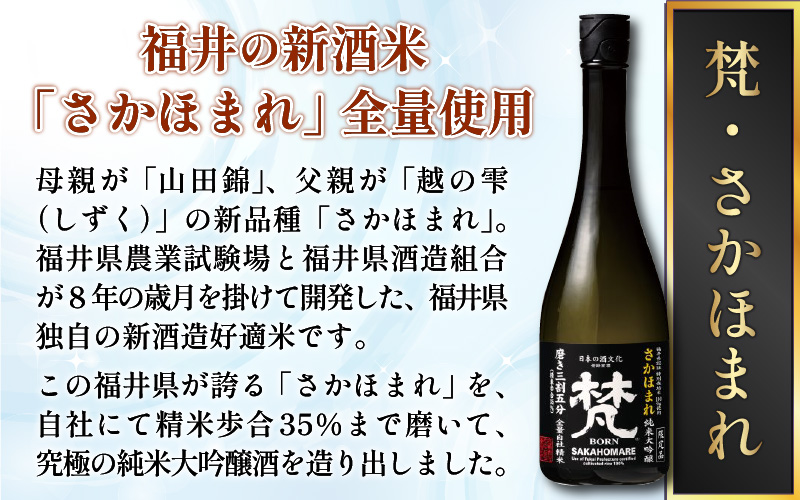 【鯖江の銘酒を贅沢に飲み比べ】【先行予約】【限定60セット】世界の梵 2025年11月お届け 日本酒6種飲み比べ