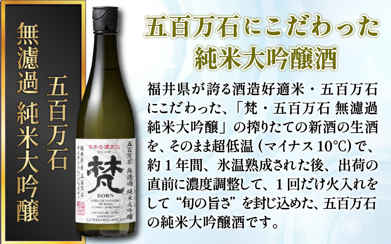 【鯖江の銘酒を贅沢に飲み比べ】【先行予約】【限定60セット】世界の梵 2025年11月お届け 日本酒6種飲み比べ
