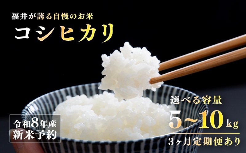 【先行予約】【2026年11月以降順次発送予定】令和8年産 新米 コシヒカリ 5kg / 10kg（5kg×2袋）