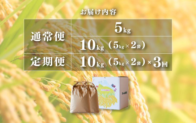 【先行予約】【2026年11月以降順次発送予定】令和8年産 新米 コシヒカリ 5kg / 10kg（5kg×2袋）
