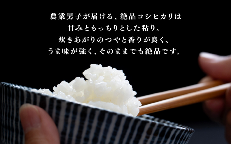 【先行予約】【2026年11月以降順次発送予定】令和8年産 新米 コシヒカリ 5kg / 10kg（5kg×2袋）