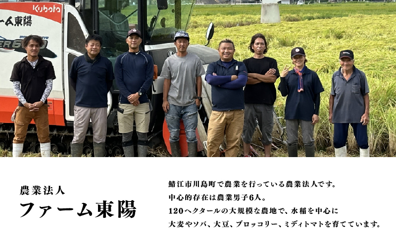 【先行予約】【2026年11月以降順次発送予定】令和8年産 新米 コシヒカリ 5kg / 10kg（5kg×2袋）