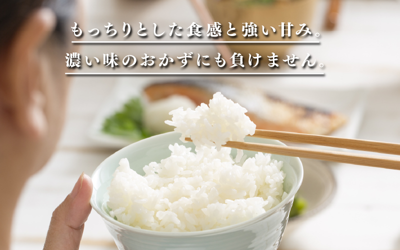 令和7年産 令和8年産【先行予約】【2026年11月以降順次発送予定】あきさかり 5kg / 10kg（5kg×2袋） / 10kg（5kg×2袋）× 3回