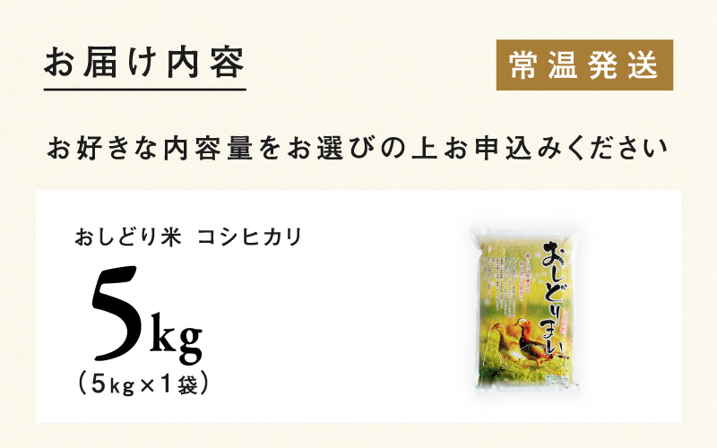 【令和7年産 新米！】【2025年9月下旬以降 順次発送予定】福井県産 おしどり米 コシヒカリ 5kg