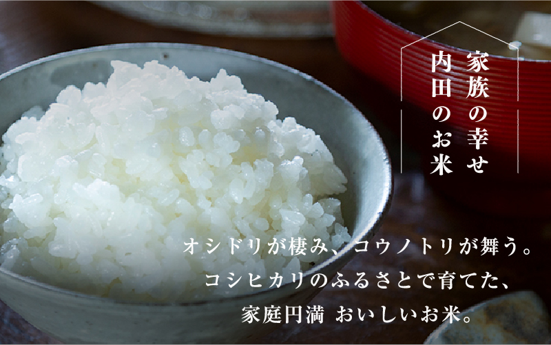 【令和7年産 新米！】【2025年9月下旬以降 順次発送予定】福井県産 おしどり米 コシヒカリ 5kg