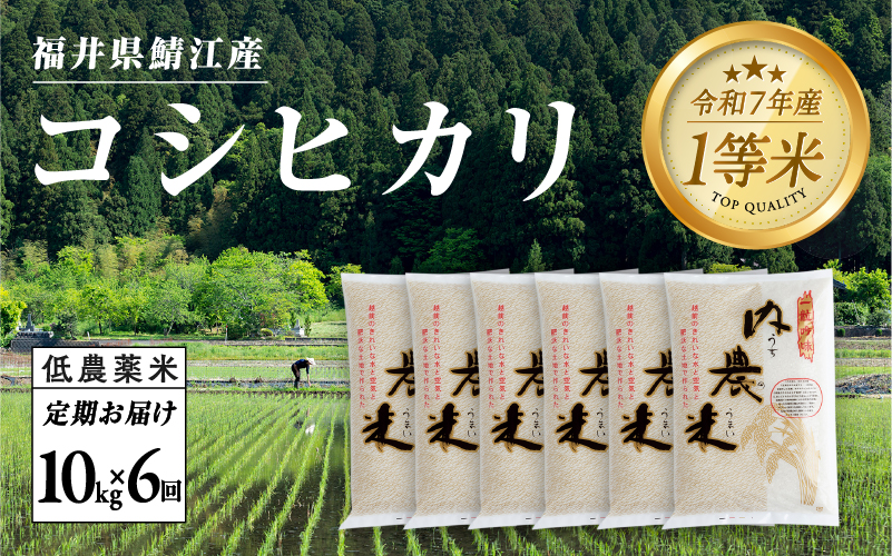 【令和7年産 新米!】【2025年10月上旬以降 順次発送予定】【6ヶ月連続お届け】令和7年産 内農米コシヒカリ定期便 10kg × 6回 計60kg