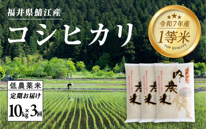 【令和7年産 新米!】【2025年10月上旬以降 順次発送予定】【3ヶ月連続お届け】令和7年産 内農米コシヒカリ定期便 10kg × 3回 計30kg