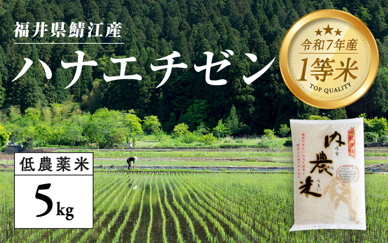 【令和7年産新米!】【2025年9月中旬以降 順次発送予定】福井県産 内農米ハナエチゼン 5kg