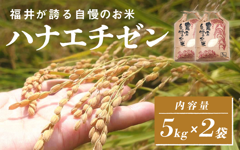 【20袋限定販売!!】<2025年10月以降 順次発送予定>令和7年産 ハナエチゼン 通常便(1回配送)計10kg(5kg×2袋)