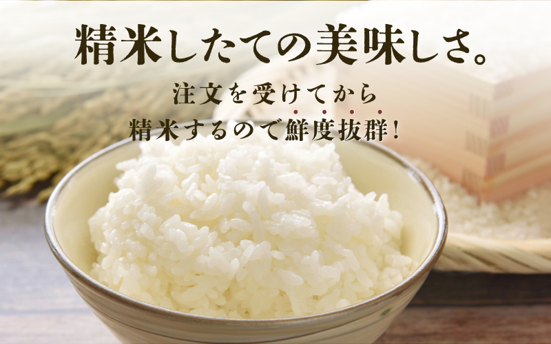 【20袋限定販売！！】＜2025年11月以降 順次発送予定＞令和7年産 あきさかり　通常便（1回配送）計10kg（5kg×2袋）