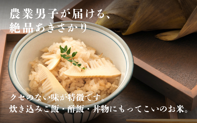 【20袋限定販売！！】＜2025年11月以降 順次発送予定＞令和7年産 あきさかり　通常便（1回配送）計10kg（5kg×2袋）