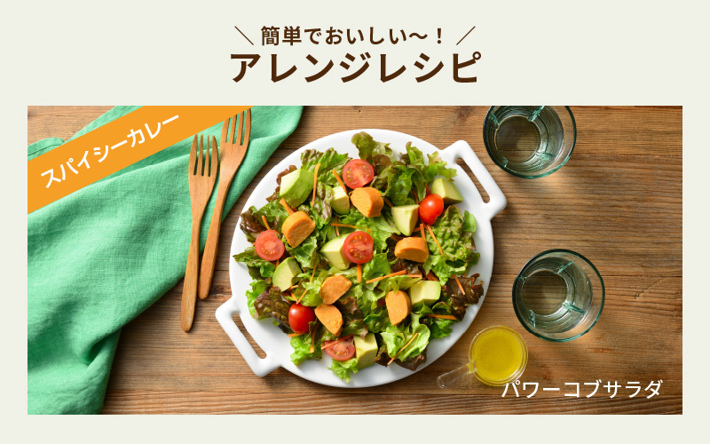 SOY PROTEIN＋ ソイプロテインプラス バータイプ 8個 / スパイシーカレー