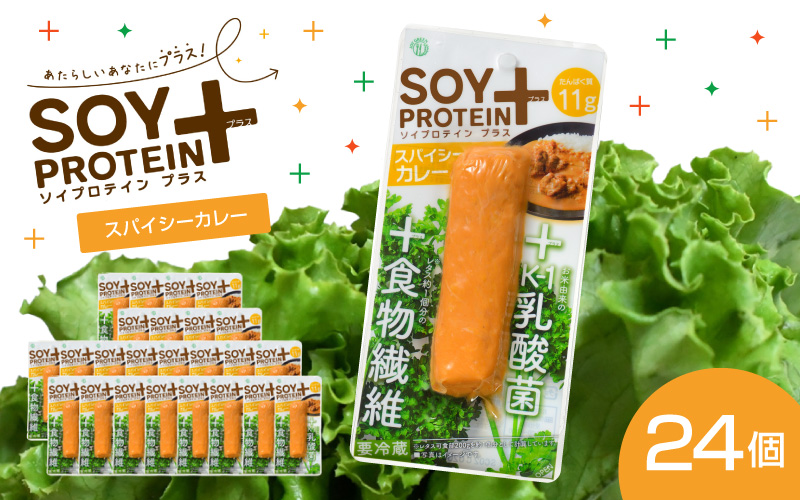 SOY PROTEIN+ ソイプロテインプラス バータイプ 24個 / スパイシーカレー