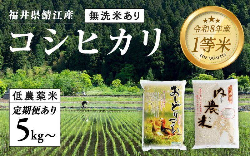 【令和８年産新米！】【先行予約】【2026年9月下旬以降順次発送予定】福井県産 おしどり米 内農米 コシヒカリ 5kg / 10kg /定期便 3ヶ月/6ヶ月 5kg10kg / 無洗米 5kg