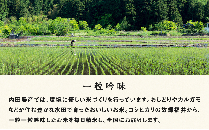 【令和８年産新米！】【先行予約】【2026年9月中旬以降順次発送予定】福井県産 おしどり米 ハナエチゼン 5kg / 内農米ハナエチゼン 5kg/ 10kg