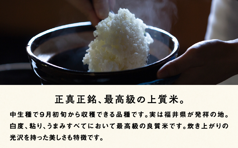 【令和８年産新米！】【先行予約】【2026年9月中旬以降順次発送予定】福井県産 おしどり米 ハナエチゼン 5kg / 内農米ハナエチゼン 5kg/ 10kg