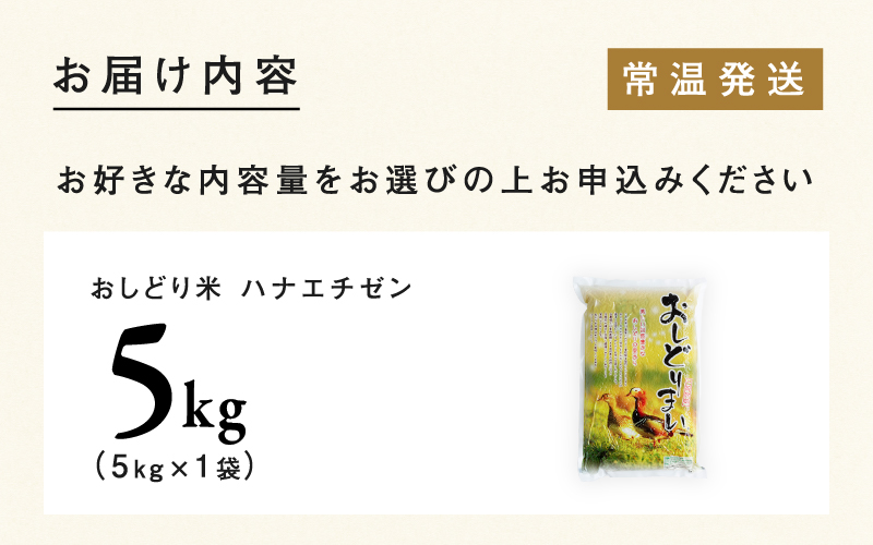 【令和８年産新米！】【先行予約】【2026年9月中旬以降順次発送予定】福井県産 おしどり米 ハナエチゼン 5kg / 内農米ハナエチゼン 5kg/ 10kg