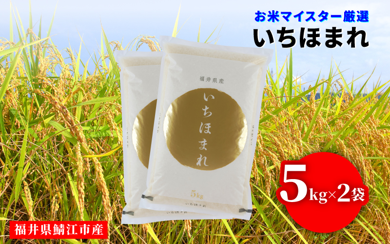 ※令和6年産※ いちほまれ 10kg(5kg × 2袋)×1回