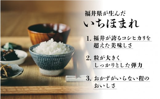 ※令和6年産※ いちほまれ 10kg（5kg × 2袋）×1回