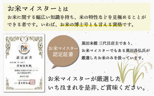 ※令和6年産※ いちほまれ 10kg（5kg × 2袋）×1回