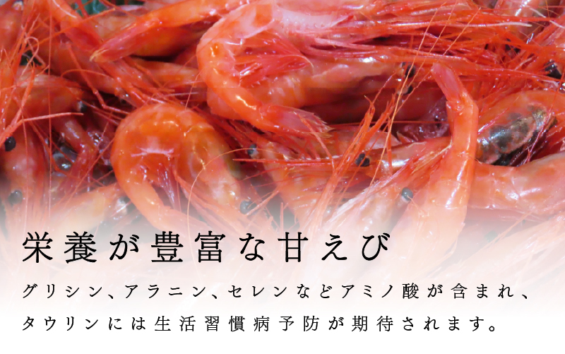 メゾン・ド・レトワール 濃厚エビグラタン ３個セット
