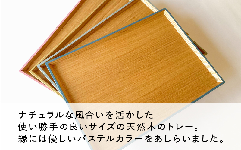 カラーリング  トレー　錆御納戸（さびおなんど）