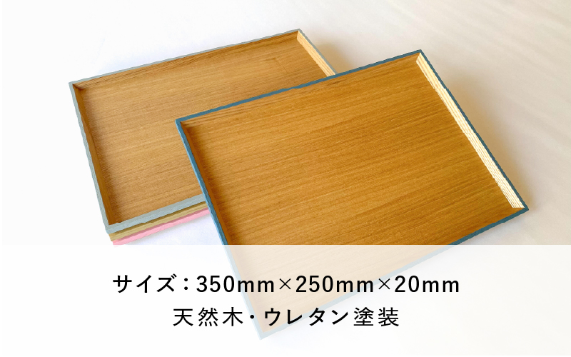 カラーリング  トレー　錆御納戸（さびおなんど）