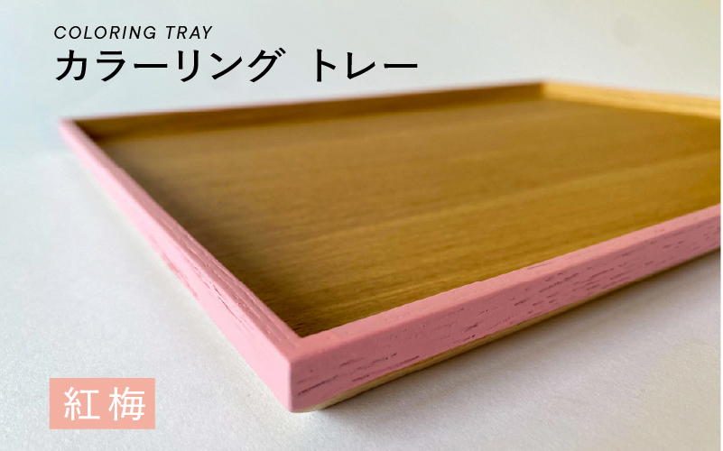 カラーリング  トレー　紅梅（こうばい）