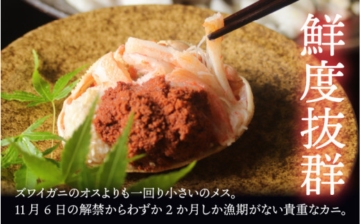 【11月3日までの特別価格！】【11月中旬以降順次発送予定】越前がに（メス）「せいこがに」身出し甲羅盛り 70g × 2杯