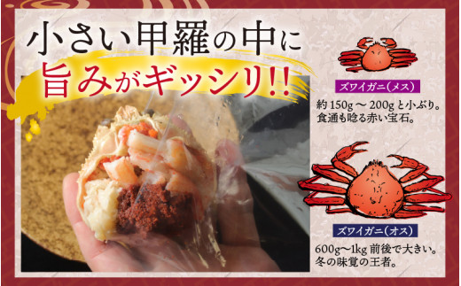 【11月3日までの特別価格！】【11月中旬以降順次発送予定】越前がに（メス）「せいこがに」身出し甲羅盛り 70g × 2杯