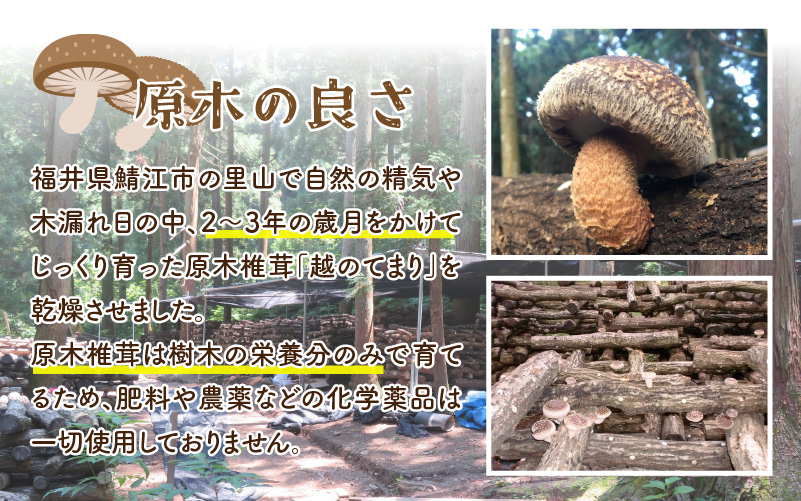 農家釜めしの素 越のてまり原木椎茸と野菜 186ｇ(1袋）×5袋