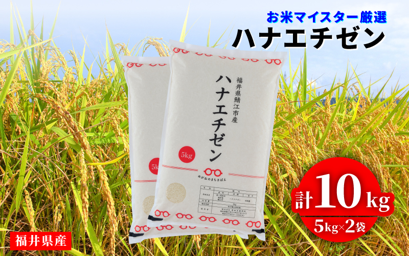 令和8年産 新米 ハナエチゼン 10kg（5kg × 2袋）