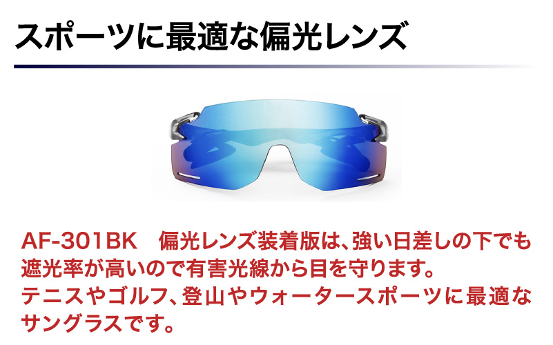 「エアフライ」AF-301BKモデル　偏光レンズ装着版 AF-301 C-34 BKPBM クリアーグレー